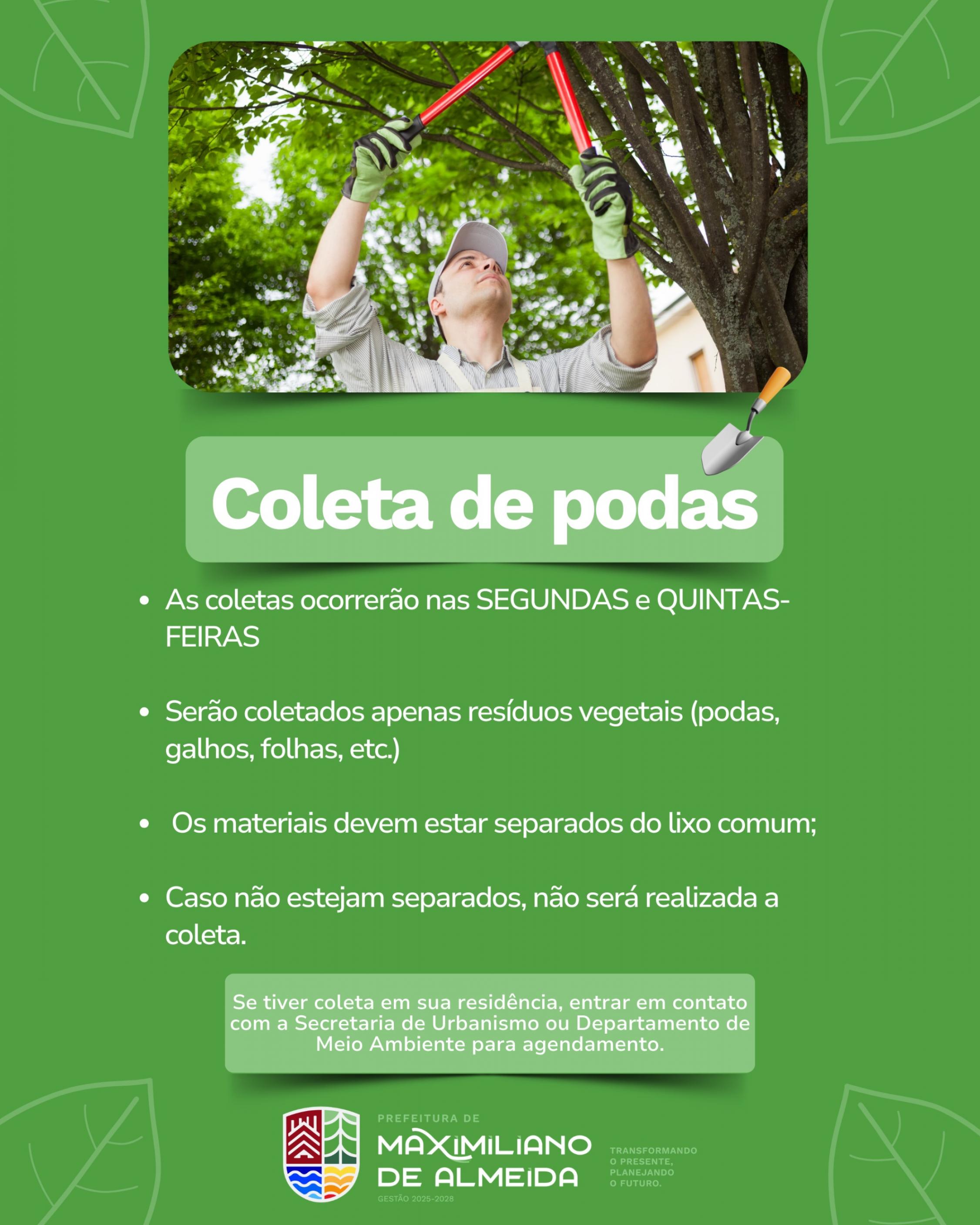 Prefeitura define novo cronograma para coleta de resíduos vegetais e anuncia aquisição de triturador de podas